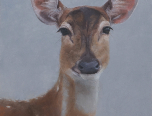 “Chital”; Oil on Panel, 8×10 inches