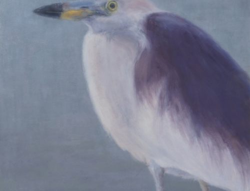 “Pond Heron”; Oil on Panel, 8×10 inches