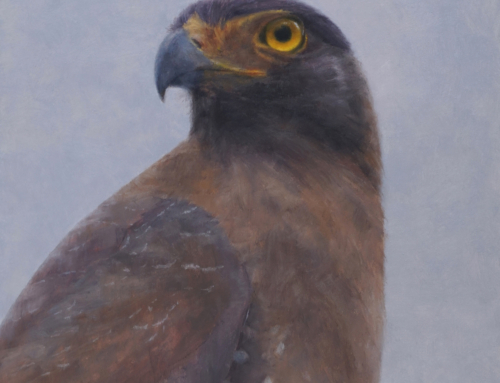 “Serpent Eagle”; Oil on Panel, 8×10 inches